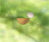 Egg Game
