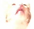 Cat Screen Clean